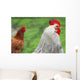 Rooster and Hen