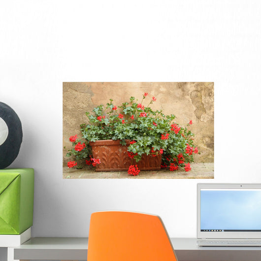 Red Geranium Terracotta Box