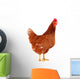 Brown Hen 2 Wall Decal