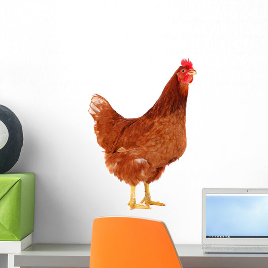Brown Hen 2 Wall Decal