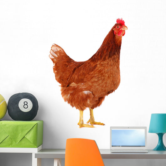 Brown Hen 2 Wall Decal