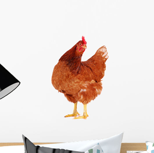 Brown Hen 1 Wall Decal