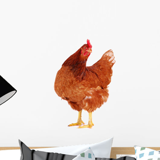 Brown Hen 1 Wall Decal