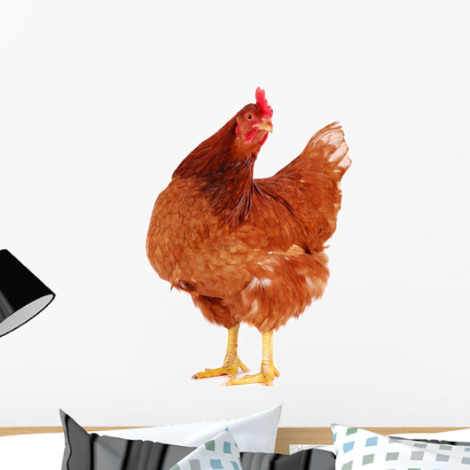 Brown Hen 1 Wall Decal