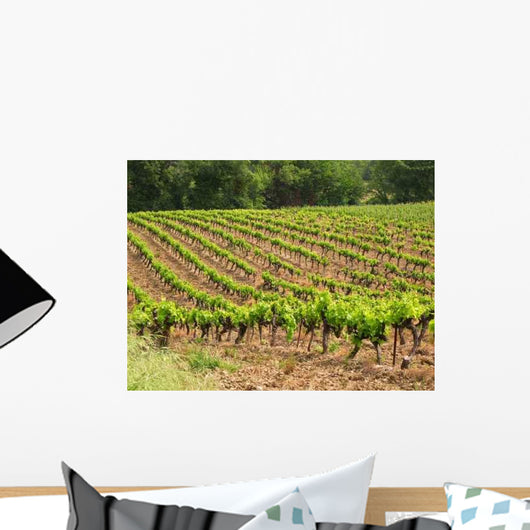 Vignes Wall Decal