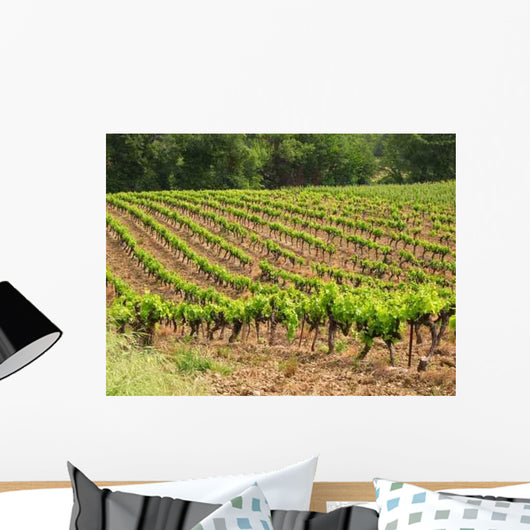 Vignes Wall Decal