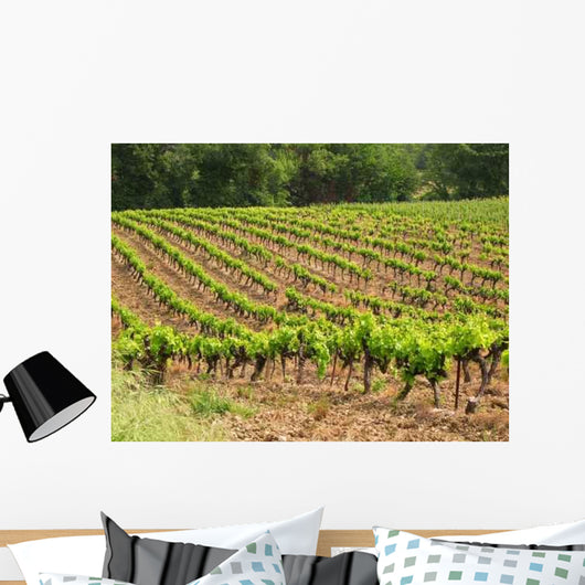 Vignes Wall Decal