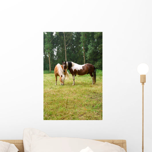 Horse Grazing Meadow Wall Mural