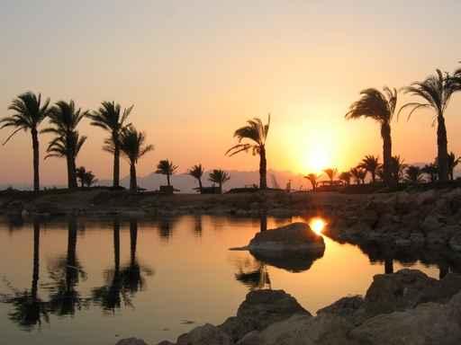 Sonnenuntergang Am Weiher Wall Decal