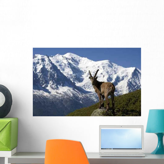 Capricorn and Mont Blanc Wall Decal