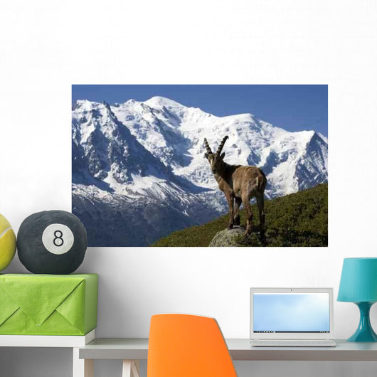 Capricorn and Mont Blanc Wall Decal