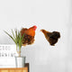 cock and  black hen Wall Decal