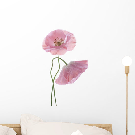 Two Pink Poppies Wall Decal