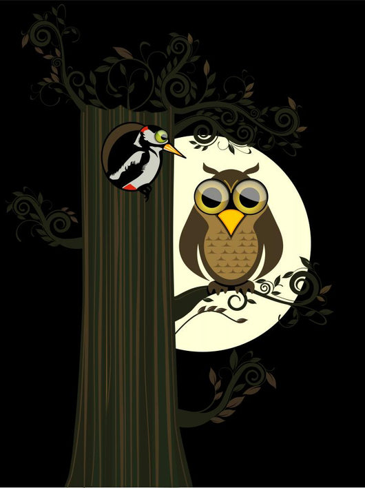 Eule Der Nacht