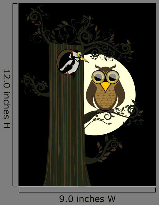 Eule Der Nacht