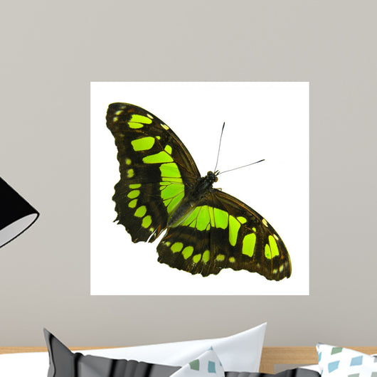 Yellow and Black Wall Decal