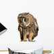 Brown Owl Wall Decal