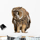 Brown Owl Wall Decal