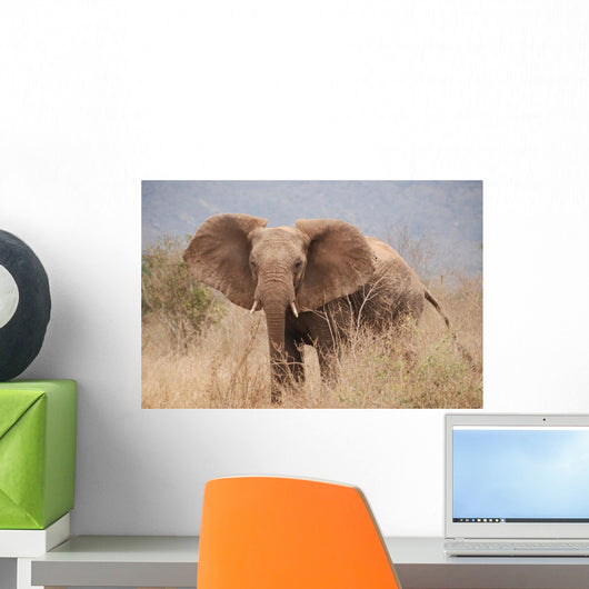 Elephant to Attack Ready Wall Mural