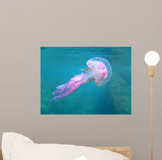 Mediterranean Jellyfish Near Surface Wall Mural