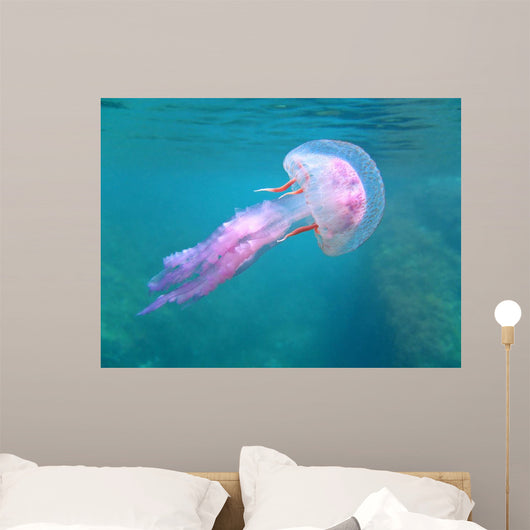Mediterranean Jellyfish Near Surface Wall Mural