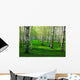 Birch Forest with Long Wall Decal
