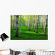 Birch Forest with Long Wall Decal