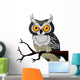 Night Owl