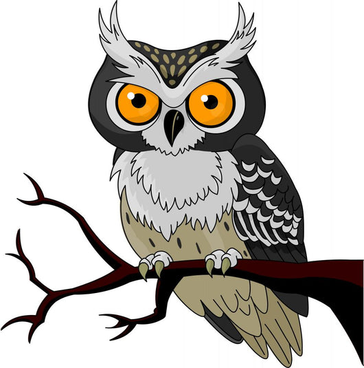 Night Owl