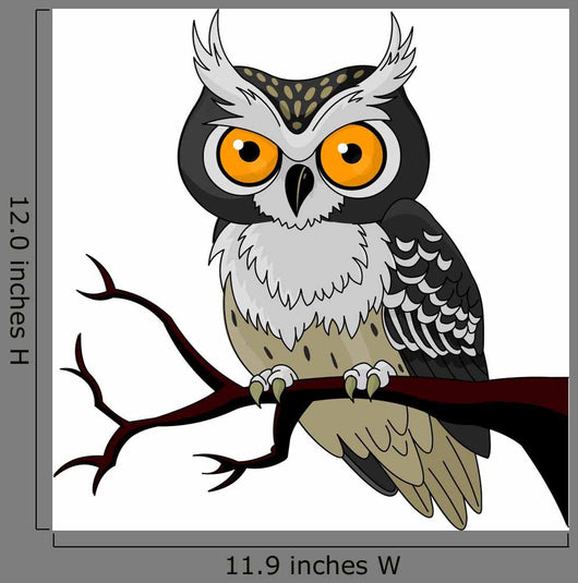 Night Owl