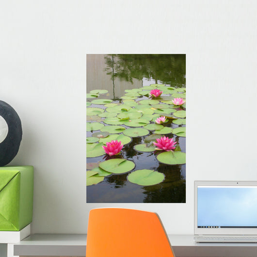 Lily Pond Wall Mural