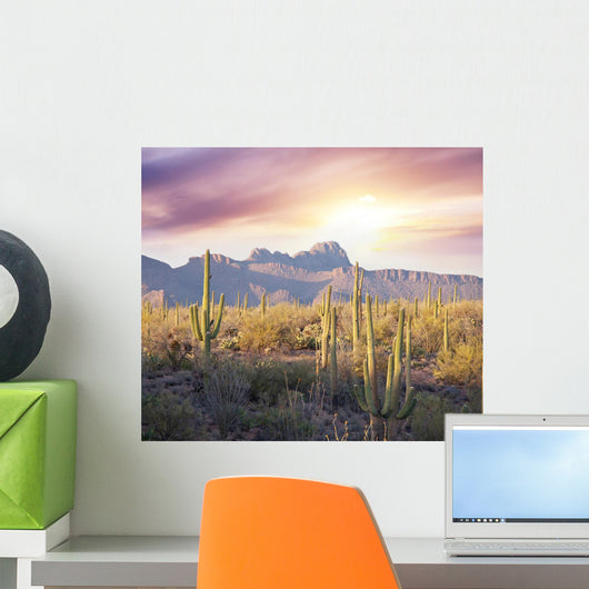 Saguaro Park