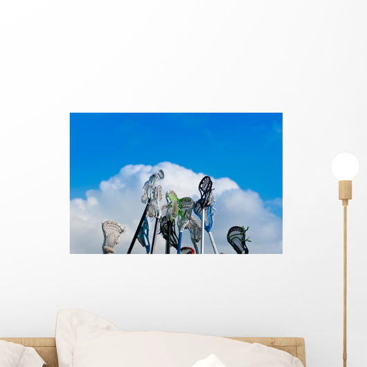 Lacrosse Sticks Sky