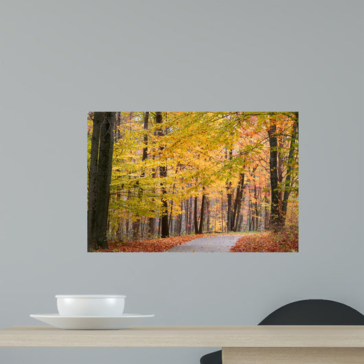 Bike Path through Autumn Wall Mural