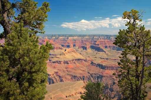 Grand Canyon (Wide Shot) Wall Decal