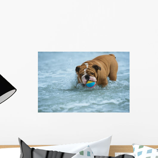 Happy Dog Bulldog Playing Wall Mural