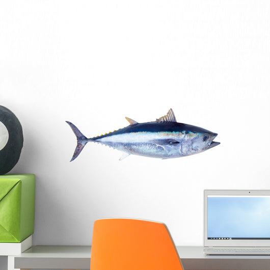 Bluefin tuna Thunnus thynnus saltwater fish Wall Decal