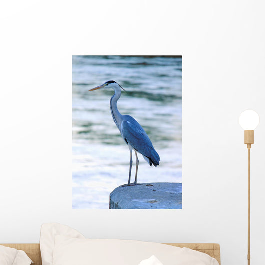 Great Blue Heron Wall Mural