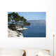 Vue Des Calanques Cassis Wall Decal
