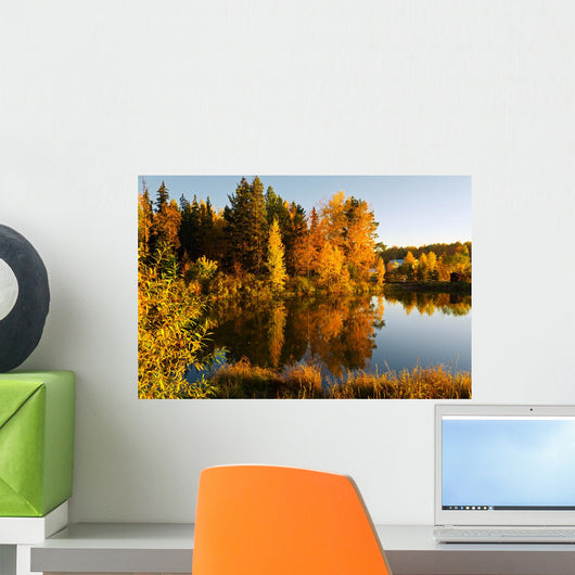 Autumn Landscape