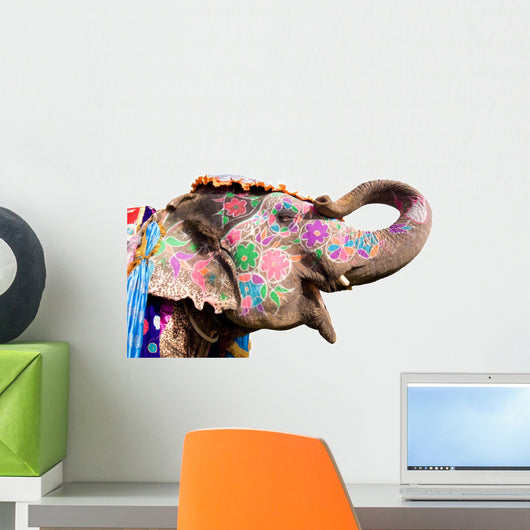 hand painted colorful elephant profile, Jaipur, Rajasthan,India Wall Decal