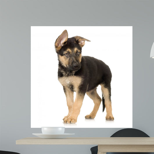 German Shepherd Puppy Standing Wall Decal