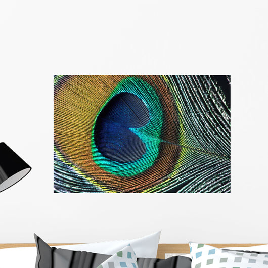 peacock feather closeup Wall Mural