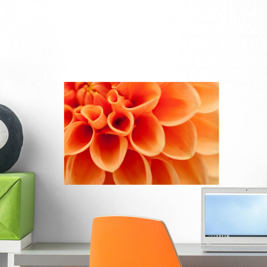 Orange Dahlia Bl Menblatter