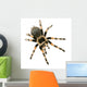 Brachypelma Smithi Front White Wall Decal