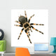 Brachypelma Smithi Front White Wall Decal