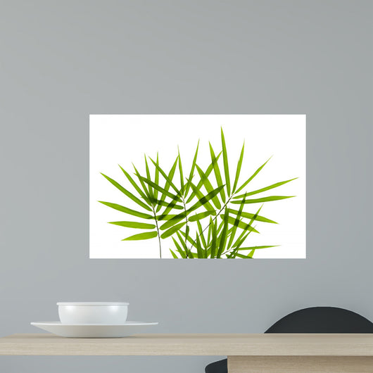 Bamboo Leaves