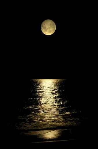 Beautiful Moon Glowing Water Wall Decal