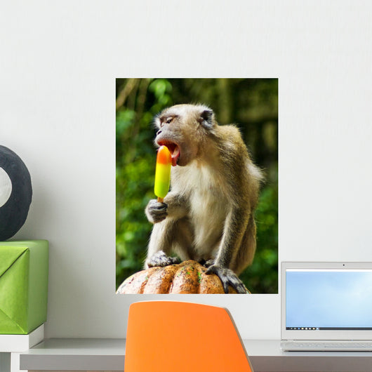 Monkey Eating Ice Cream