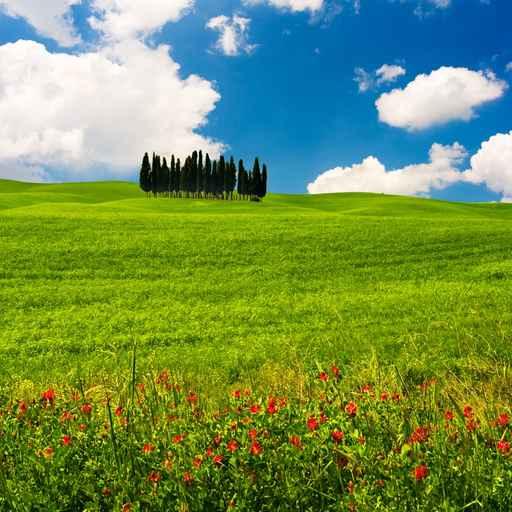 Tuscan Rolling Hills Landscape Wall Decal